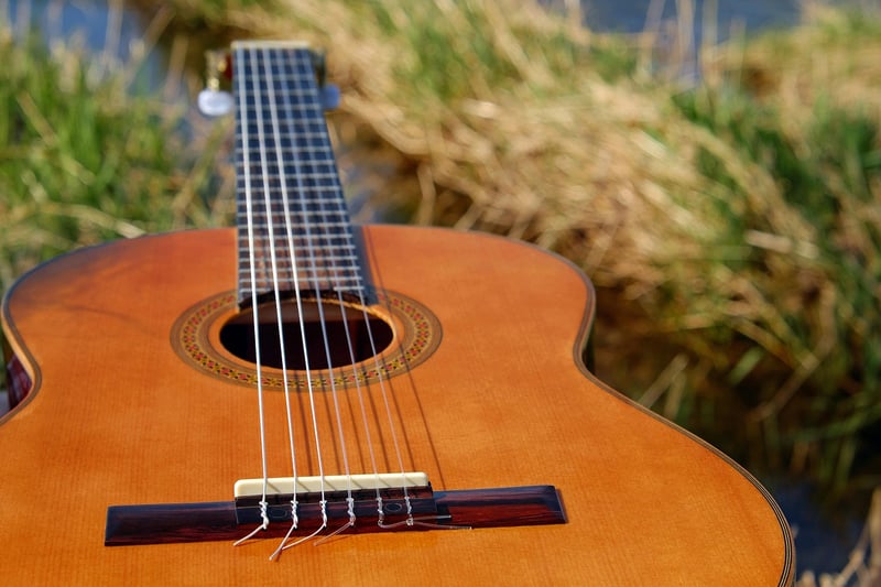 Forest Acoustics